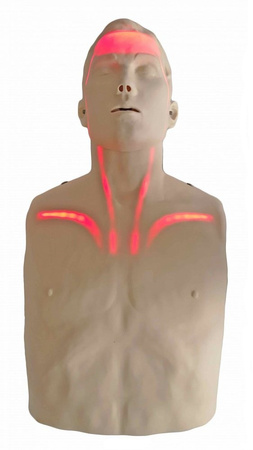 Fantom BRAYDEN wizualizacja krążenia