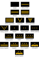 Dystynkcja funkcyjna dla PSP