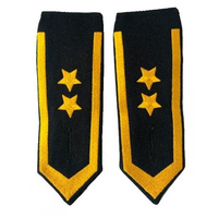 Pagony do koszuli PSP