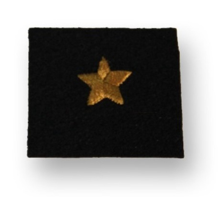 Dystynkcja na beret PSP