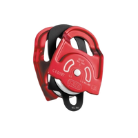 Bloczek Petzl - TWIN
