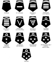 Dystynkcje członków OSP, Zarządu OSP i Komisji Rewizyjnej