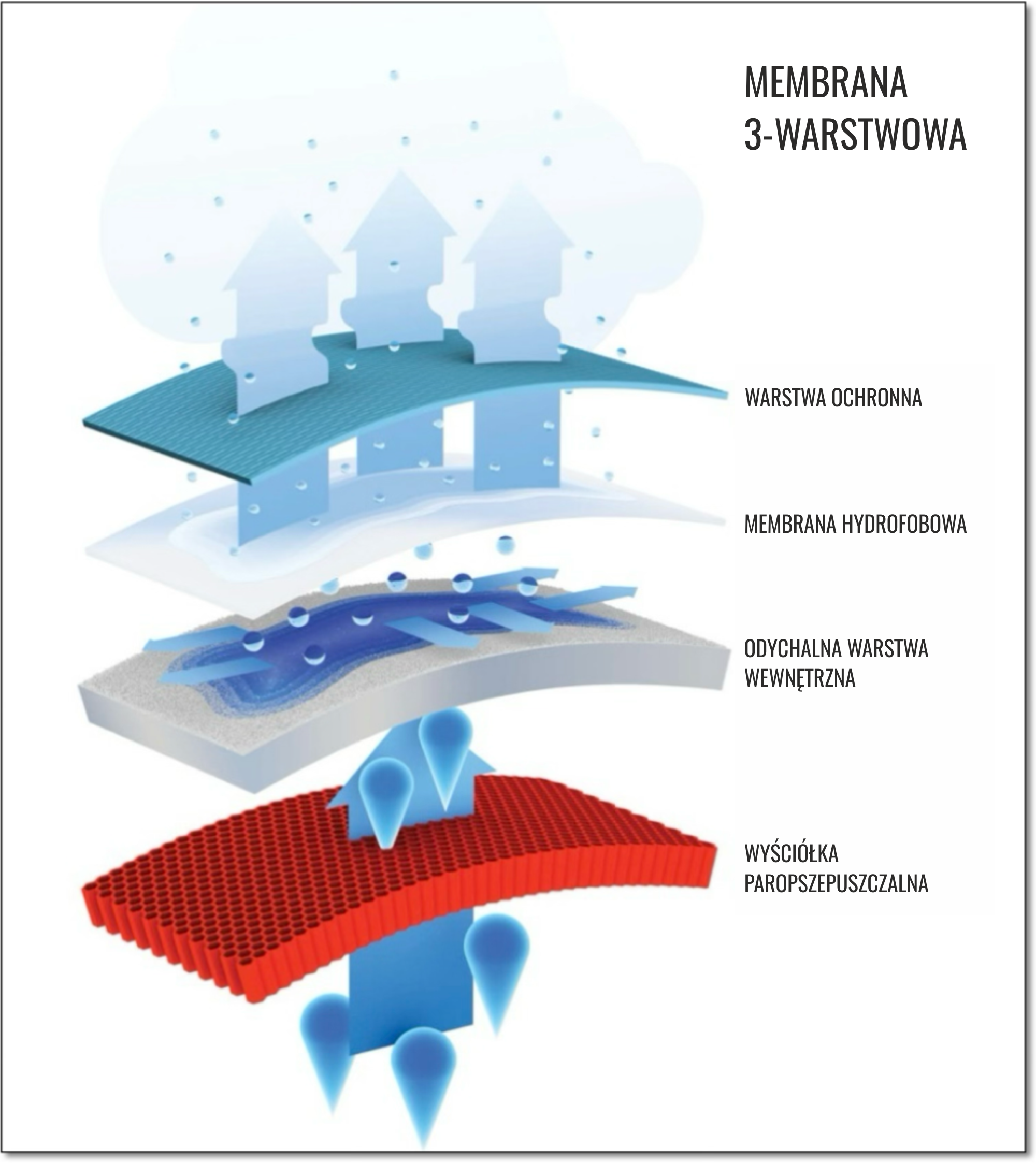 MEMBRANA 3-WARSTWOWA.png